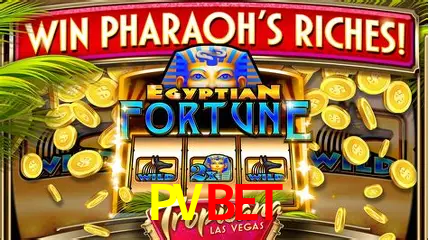Cassino ao vivo com dealers reais na PVBET